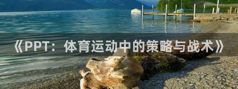三亿体育网页版：《PPT：体育运动中的策略与战术》