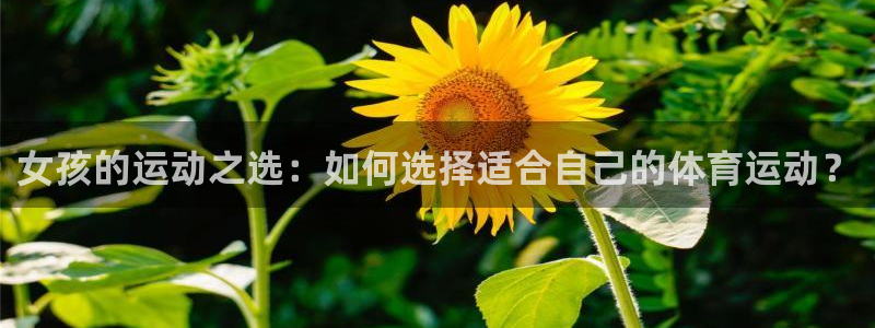 三亿体育网：女孩的运动之选：如何选择适合自己的体育运动？