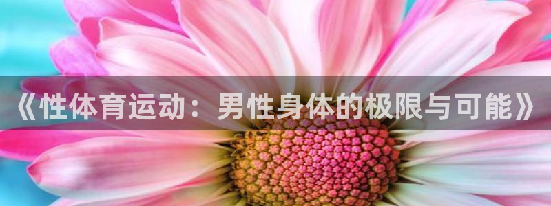 三亿体育网页版