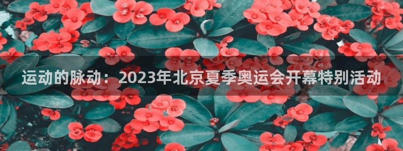 三亿体育网