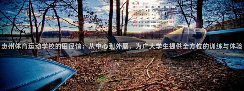 三亿体育网页版