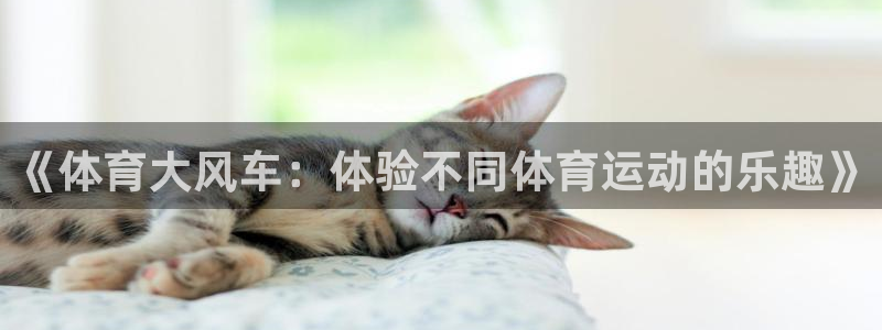 三亿体育网：《体育大风车：体验不同体育运动的乐趣》