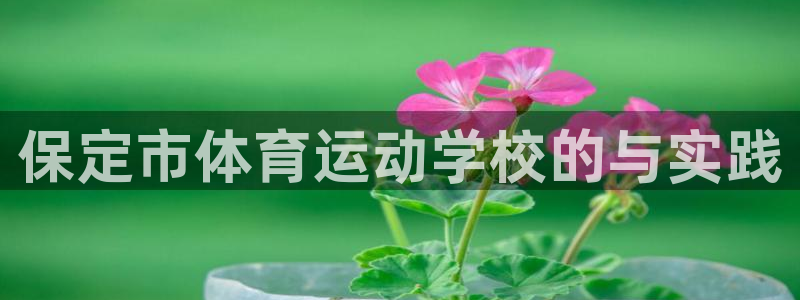 三亿体育网