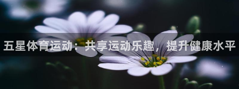 三亿体育网页版：五星体育运动：共享运动乐趣，提升健康水平